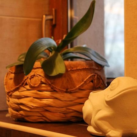 Dobranic - Kuca Za Odmor Villa Sveti Martin Na Muri Ngoại thất bức ảnh
